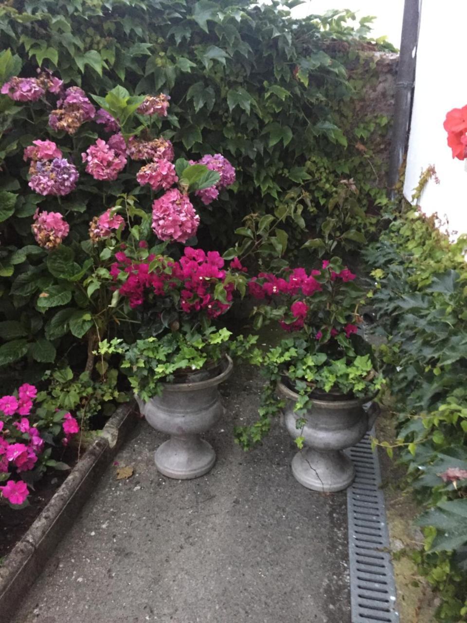 クディレロ La Casona De Benitoゲストハウス エクステリア 写真